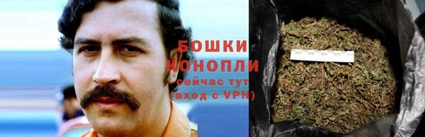 spice Усинск