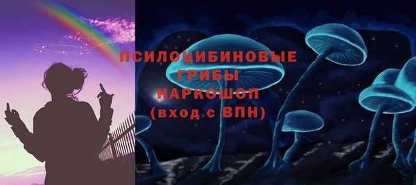 spice Усинск