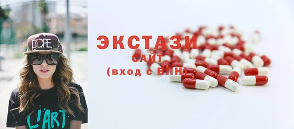 ECSTASY Каменка