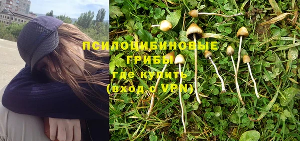 хмурый Усолье-Сибирское