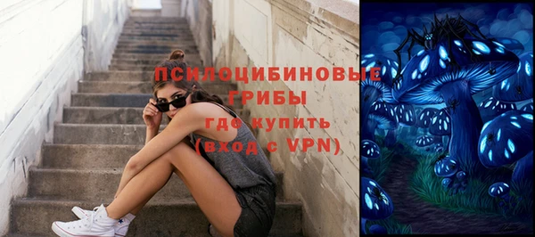 spice Усинск