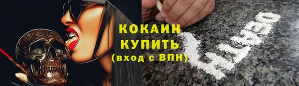 spice Усинск